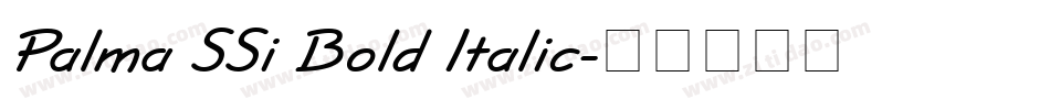Palma SSi Bold Italic字体转换